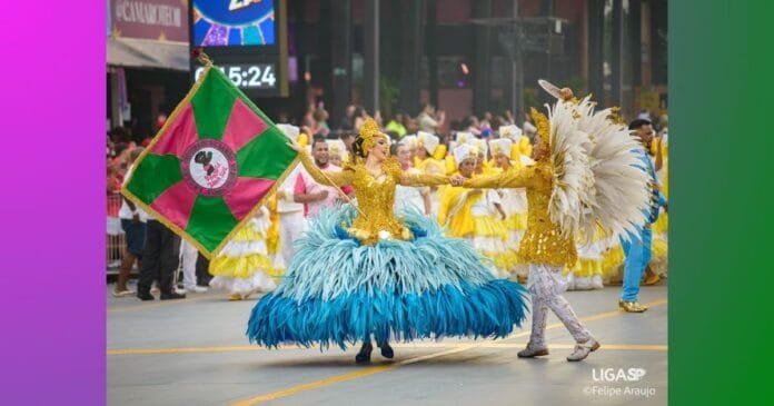 Barroca anuncia enredo 2027